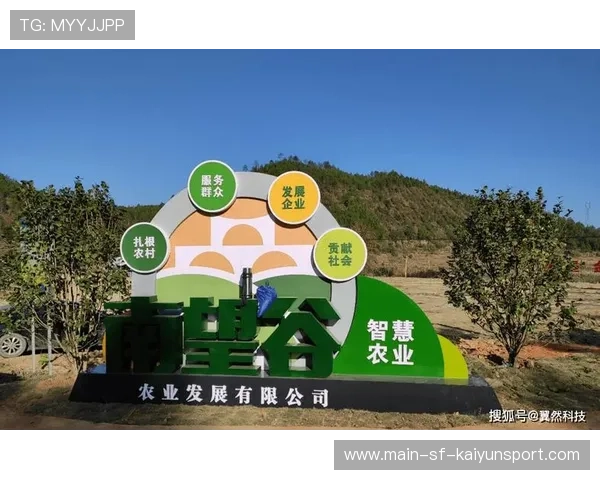 聚焦乡村振兴背景下的基层体育建设，聚焦乡村振兴背景下的基层体育建设研究